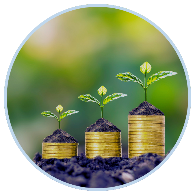 Money Plants